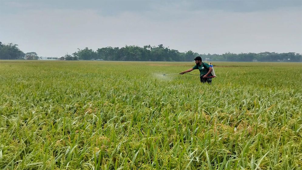 শিল্প নীতির তোয়াক্কা করছে না কীটনাশকের ট্রেডিং সিন্ডিকেট  