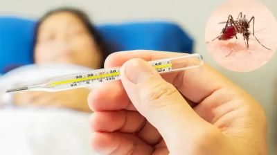 লাখ ছুঁইছুঁই ভর্তি রোগী, মৃত্যু চারশর কাছাকাছি