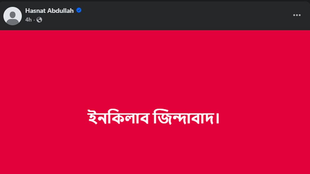 হাসনাত-পাটোয়ারির স্ট্যাটাস ভাইরাল