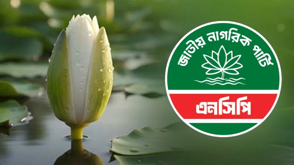 নানা আয়োজনে এনসিপির প্রথম প্রতিষ্ঠাবার্ষিকী আজ
