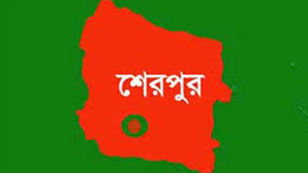 শেরপুরে দিনমজুরকে পিটিয়ে আহত করেছে মাদক ব্যাবসায়ীরা 