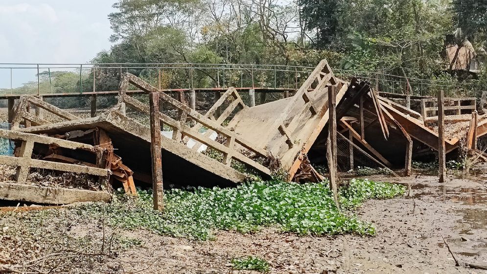 ২ বছর ধরে ব্রিজ ভেঙে খালে, ঝুঁকিতে পারাপার