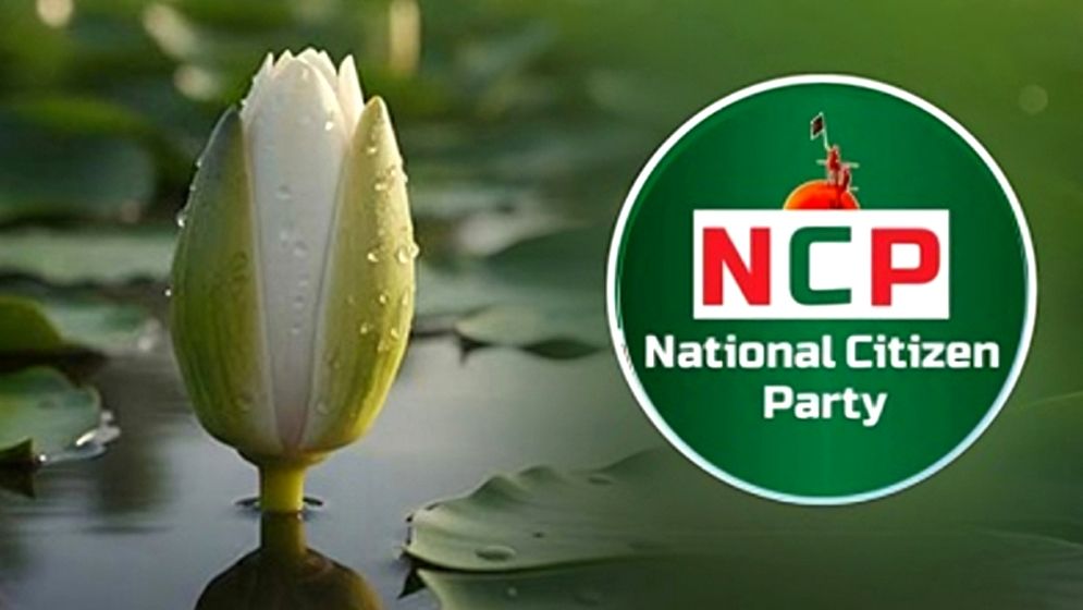 এক উপজেলায় এনসিপির সব নেতাকর্মীর পদত্যাগ, নেপথ্যে কী  