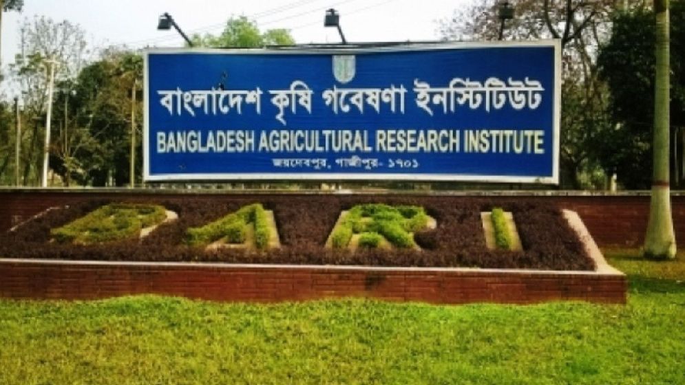 বাংলাদেশ কৃষি গবেষণা ইনস্টিটিউটে চাকরি