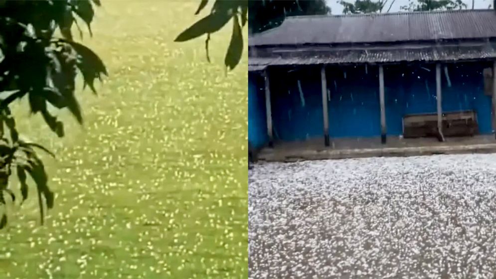 ব্যাপক শিলাবৃষ্টিতে সুনামগঞ্জে ফসলের ক্ষতির আশঙ্কা