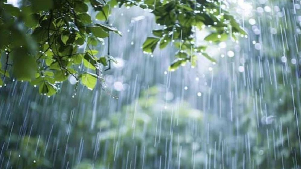 সপ্তাহজুড়ে ৮ বিভাগে বজ্রসহ বৃষ্টির আভাস 