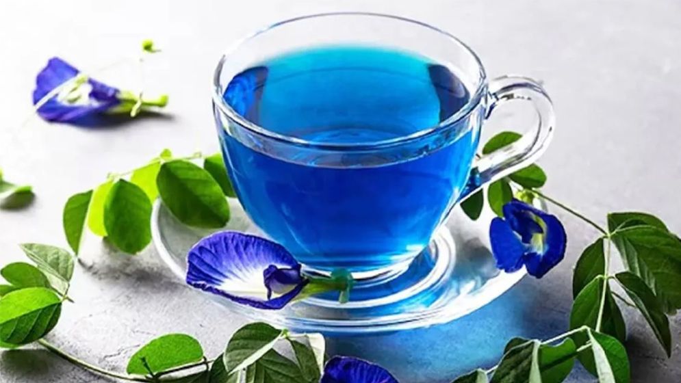 অপরাজিতা চা খেলে কী হয়?