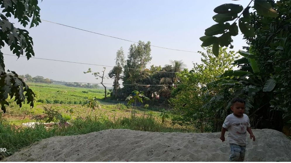 মেঘনায় মাটির কাছাকাছি বিদ্যুতের তার, বড় দুর্ঘটনার শঙ্কা