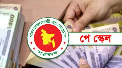 পে স্কেল বাস্তবায়নের দাবিতে নতুন কর্মসূচি 