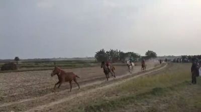 ফরিদপুরে ঘোড়দৌড় প্রতিযোগিতা দেখতে মানুষের ঢল
