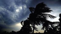৪ জেলায় ৮০ কিলোমিটার বেগে ঝড়ের আভাস  