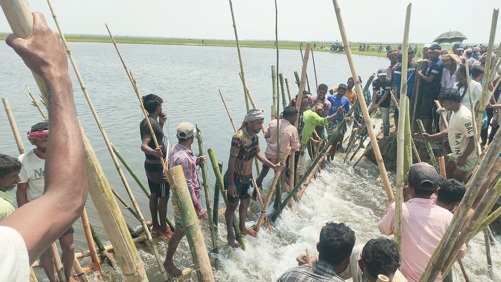 হাওরের বাঁধ ভেঙে ৯ হাজার হেক্টর ধান পানির নিচে