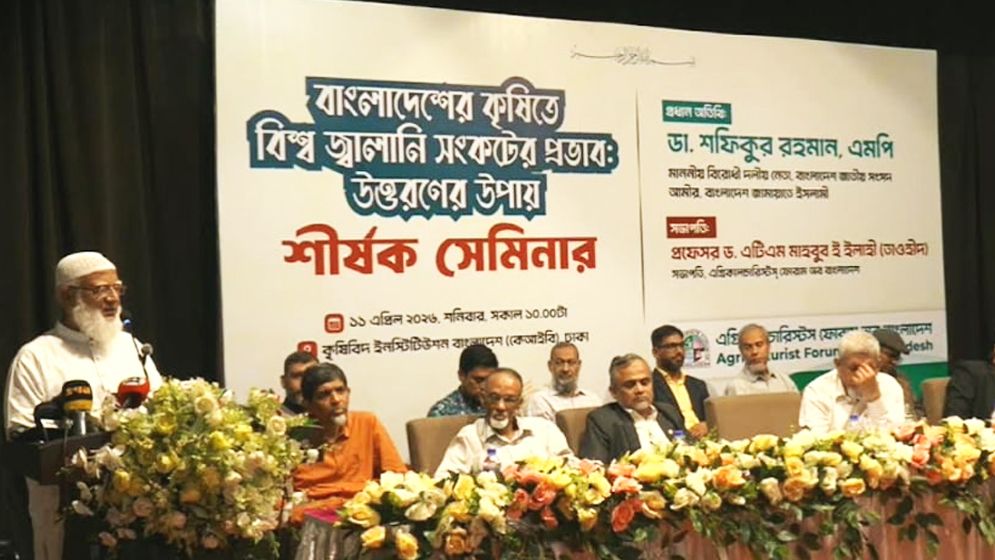 ‘এনার্জিতে এখন হাহাকার, তেল আছে শুধু সংসদে’