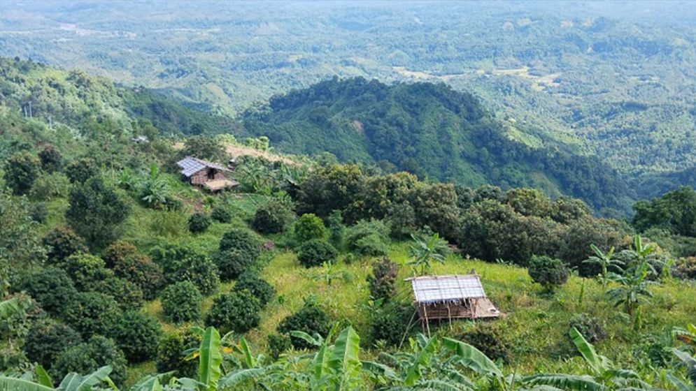 অস্ত্রের মুখে জিম্মি করে তিনজনকে অপহরণ করল সন্ত্রাসীরা