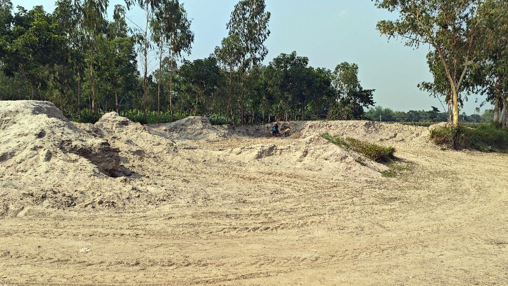 নিলামে গিয়ে দেখা গেলো বালু উধাও