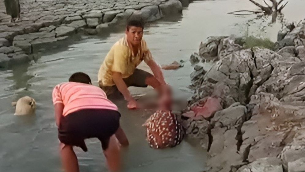 প্রকাশ্যে হরিণ জবাই