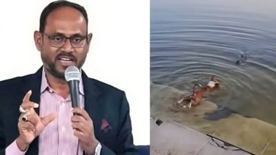 কুকুর-কুমির কাণ্ড তদন্তের নির্দেশ