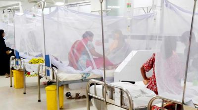 ডেঙ্গু আক্রান্ত হয়ে হাসপাতালে নতুন ভর্তি ৪৪