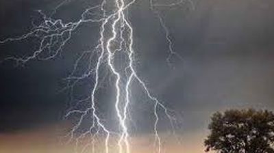 বিভিন্নস্থানে বজ্রপাতে ১২ জনের মৃত্যু