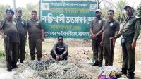 সুন্দরবনের ডিমের চর থেকে ফাঁদসহ হরিণ শিকারী আটক