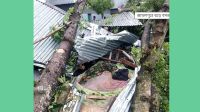 ঝড়ে গাছের নিচে চাপা পড়ে মা ও ২ মেয়ে নিহত 
