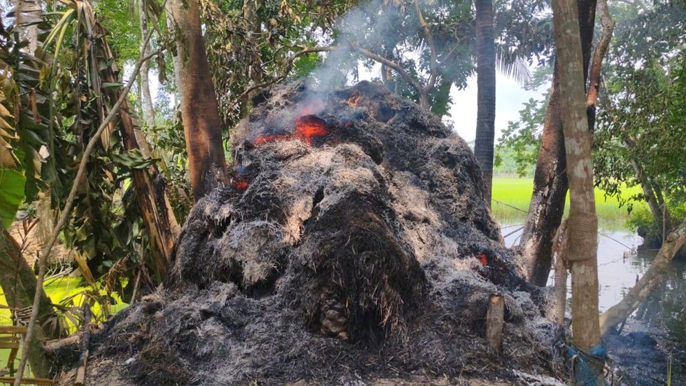 সকালে ঝগড়া, রাতে গরুর খাদ্যে আগুন