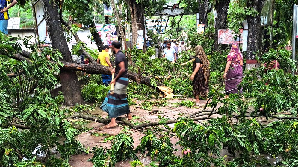 ৪০ মিনিটের ঝড়ে বিপর্যস্ত সদরপুরের জনজীবন