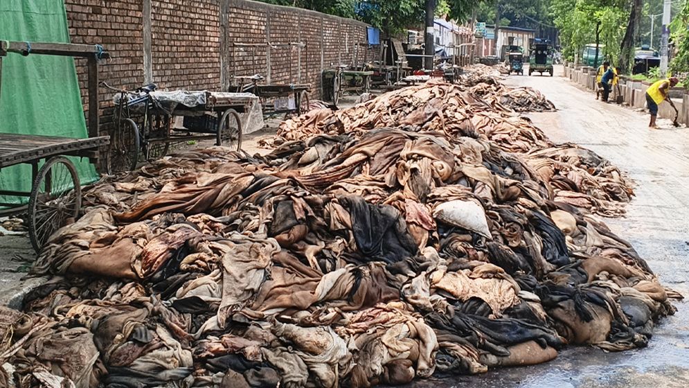সারাদেশে চামড়া ফেলে দেওয়ার হিড়িক