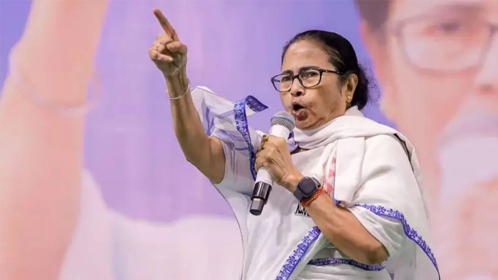 ওয়েট অ্যান্ড সি...আমরা বাঘের বাচ্চার মতো লড়াই করে যাব: মমতা