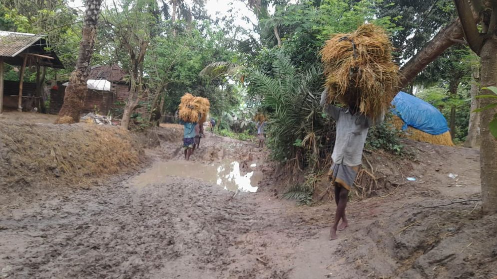 ট্রাক্টরে মাটি পরিবহনে নষ্ট রাস্তা, মাঠের ধান নিয়ে দুশ্চিন্তায় চাষিরা