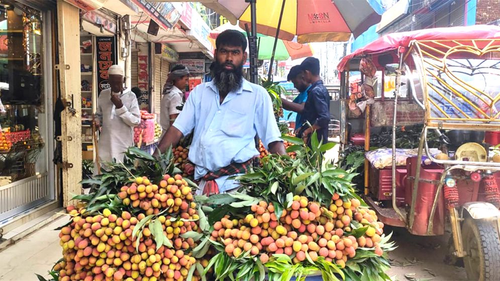 আখাউড়ার বাজারে আগাম লিচু, স্বাদ নিয়ে ক্রেতাদের হতাশা
