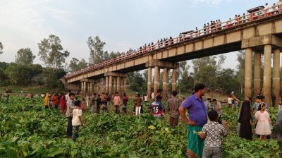 ফুলজোড় নদীর কচুরিপানায় নতুন আকর্ষণ