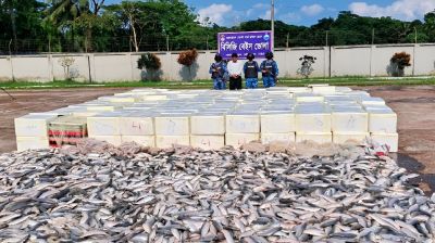ভোলায় ৩ ট্রাক ইলিশ জব্দ নিয়ে বিতর্ক