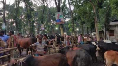 হাটে অতিরিক্ত টোল আদায়ের অভিযোগ, ক্ষুব্ধ ব্যবসায়ী ও ক্রেতারা