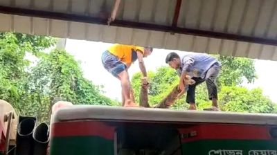কুষ্টিয়ায় ট্রেনের ছাদে মিলল যুবকের রক্তাক্ত মরদেহ
