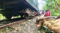 ঝড়ে গাছের ডাল রেললাইনে, ট্রেনের ইঞ্জিন লাইনচ্যুত