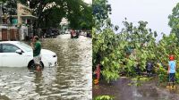 ভারী বৃষ্টিতে জলাবদ্ধ ঢাকা, গাছ উপড়ে পড়ায় ভোগান্তি