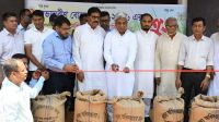 ধানের এমন ভালো দাম সচরাচর সরকার আগে কখনো দেয়নি