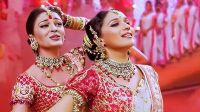 অন্তঃসত্ত্বা অবস্থায় ‘দোলা রে দোলা’ গানের শুটিং করেন মাধুরী