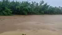 বৃষ্টি ও উজানের ঢলে চেল্লাখালী নদীর পানি বিপৎসীমার ১৬০ সেমি ওপরে