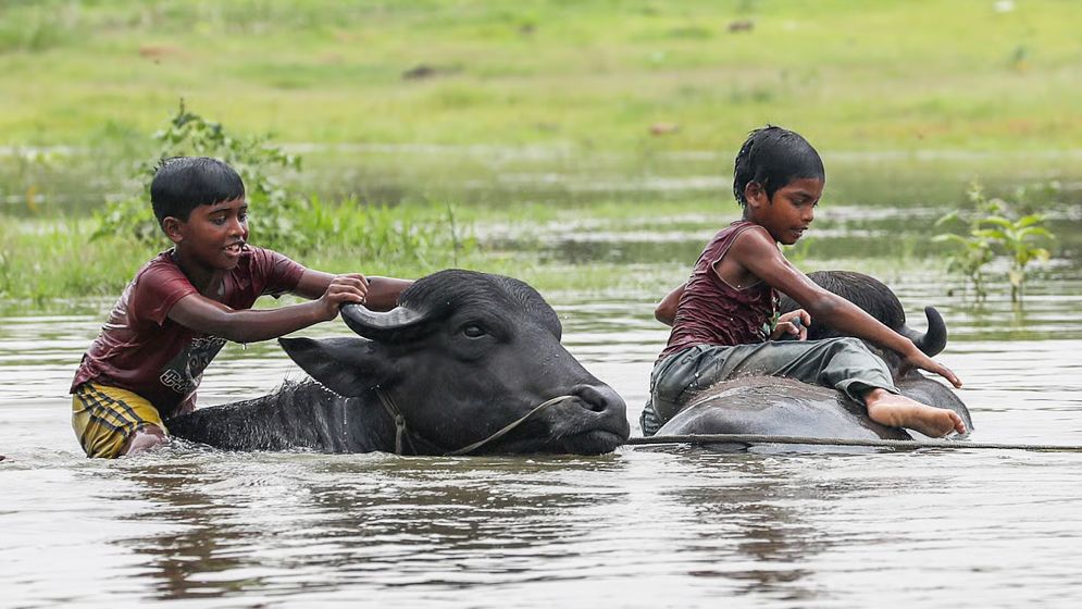 তীব্র দাবদাহে পুড়ছে ৩৮ জেলা